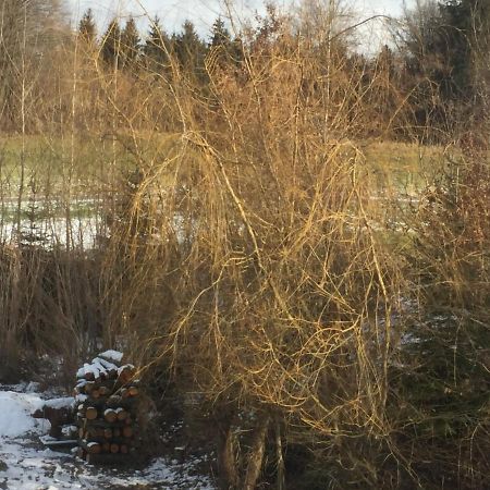 Privatzimmer Vermietung Helmut Bürgmann Kirchberg bei Mattighofen Exterior foto